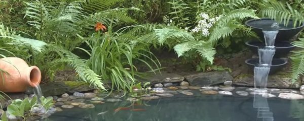 filtration de bassin